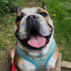 Meet your Posher, Sami